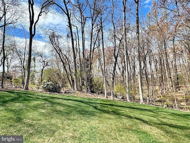 9871 La Plata Pkwy, La Plata, MD 20646 - view of yard