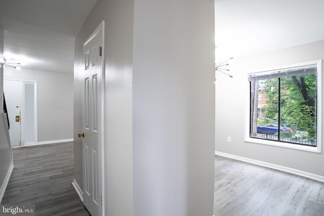 4647 6th St SE, Washington, DC 20032 - hall with wood finished floors