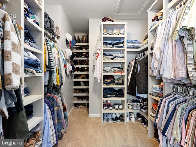 spacious closet featuring attic access and carpet floors