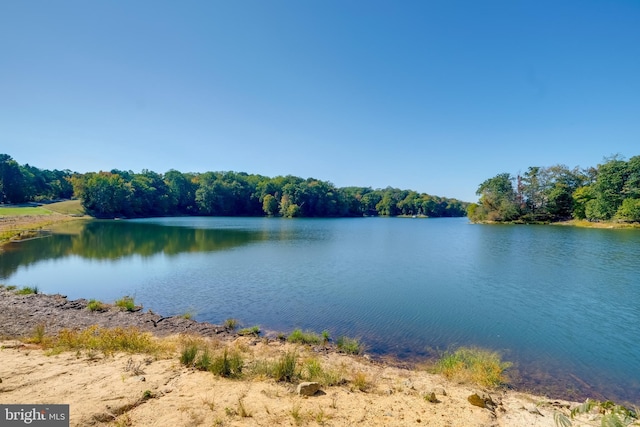 119 Bald Eagle Dr, Montross, VA 22520 - view of water feature