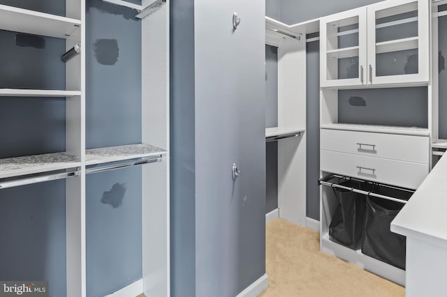 15343 Tewkesbury Pl, Upper Marlboro, MD 20774 - spacious closet with light carpet