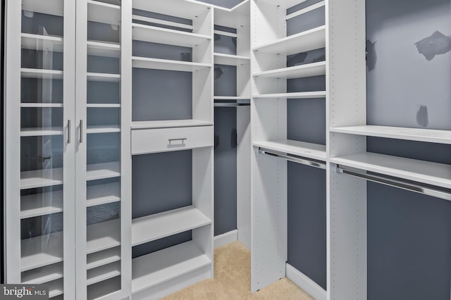 15343 Tewkesbury Pl, Upper Marlboro, MD 20774 - walk in closet with light carpet