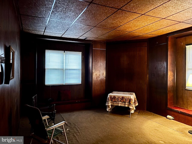 sitting room featuring wooden walls and carpet flooring