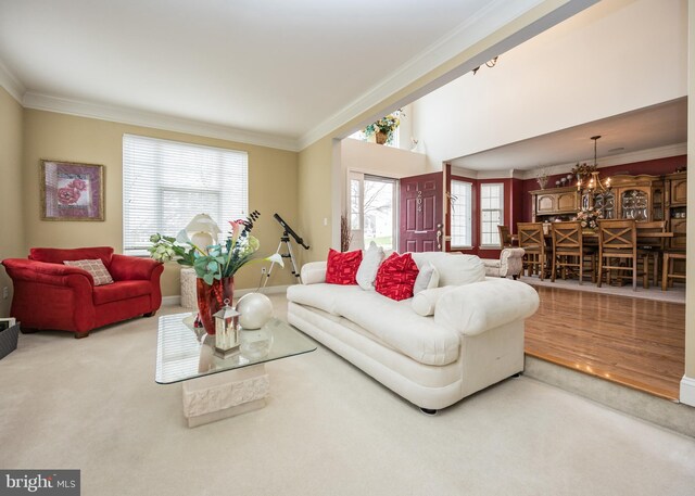 carpeted living room featuring a chandelier, baseboards, and ornamental molding