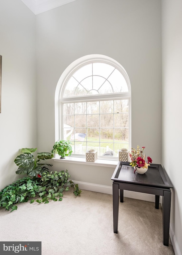 sitting room with carpet and baseboards