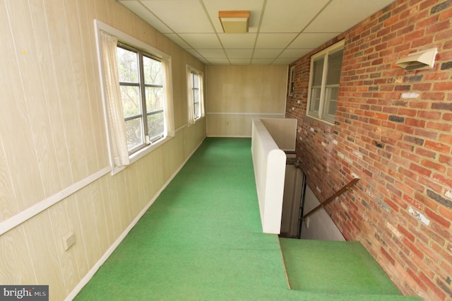 corridor with wooden walls, a drop ceiling, carpet, and brick wall