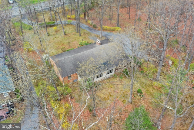 bird's eye view