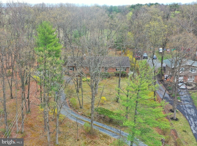 aerial view featuring a view of trees