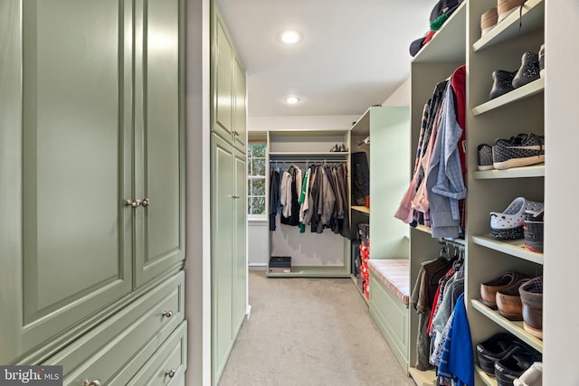 spacious closet with light carpet