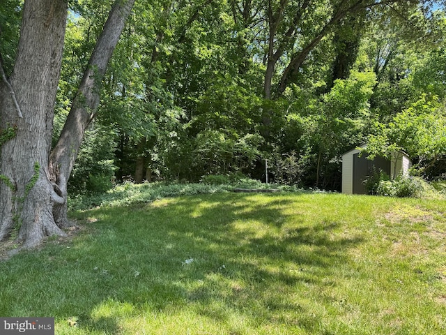 view of green lawn
