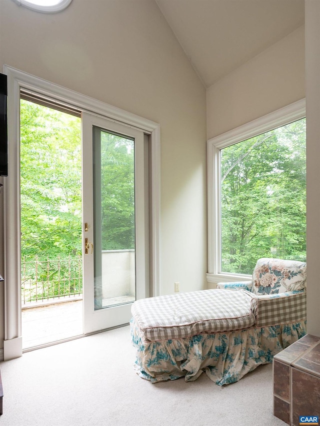 481 Stoney Creek E, Nellysford, VA 22958 - carpeted bedroom featuring lofted ceiling and access to exterior