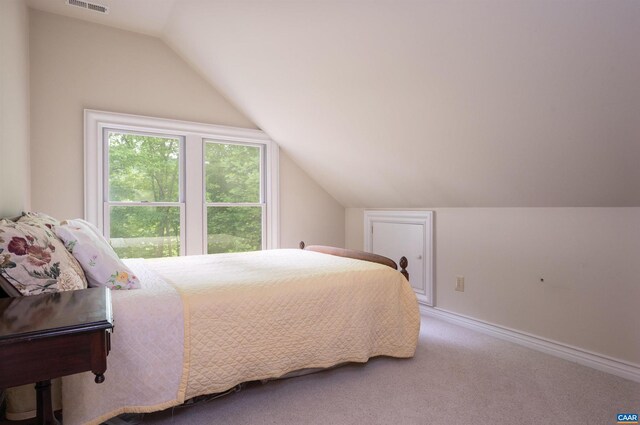 481 Stoney Creek E, Nellysford, VA 22958 - carpeted bedroom featuring baseboards, lofted ceiling, and visible vents