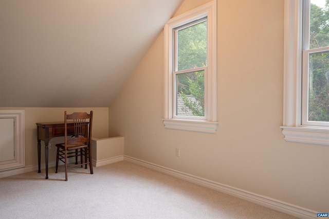481 Stoney Creek E, Nellysford, VA 22958 - additional living space featuring baseboards, vaulted ceiling, and carpet