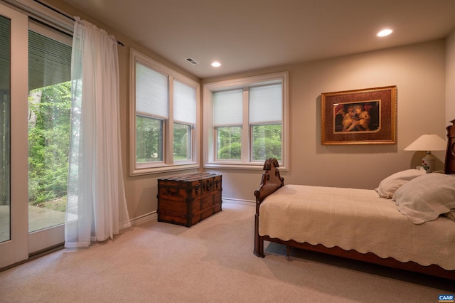 481 Stoney Creek E, Nellysford, VA 22958 - carpeted bedroom with baseboards, visible vents, and recessed lighting