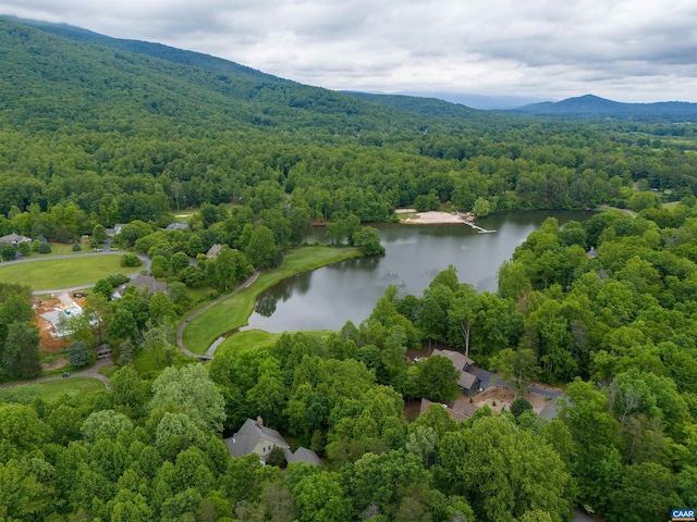 481 Stoney Creek E, Nellysford, VA 22958 - birds eye view of property with a water and mountain view and a wooded view