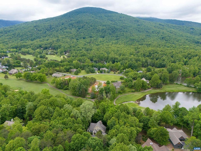 481 Stoney Creek E, Nellysford, VA 22958 - birds eye view of property with a water and mountain view and a wooded view