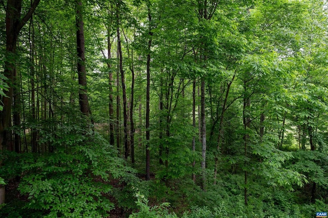 481 Stoney Creek E, Nellysford, VA 22958 - view of nature with a wooded view