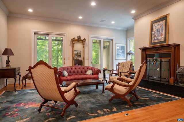 481 Stoney Creek E, Nellysford, VA 22958 - living area featuring plenty of natural light, visible vents, and wood finished floors