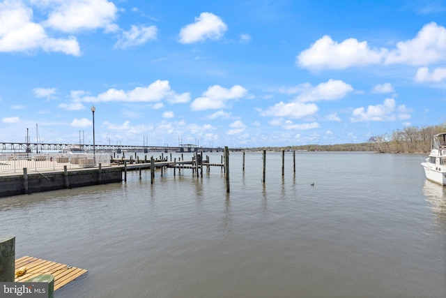 dock area with a water view