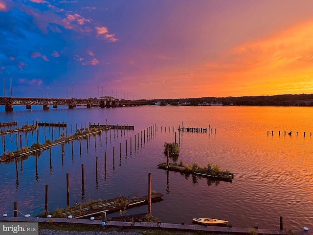 property view of water with a boat dock