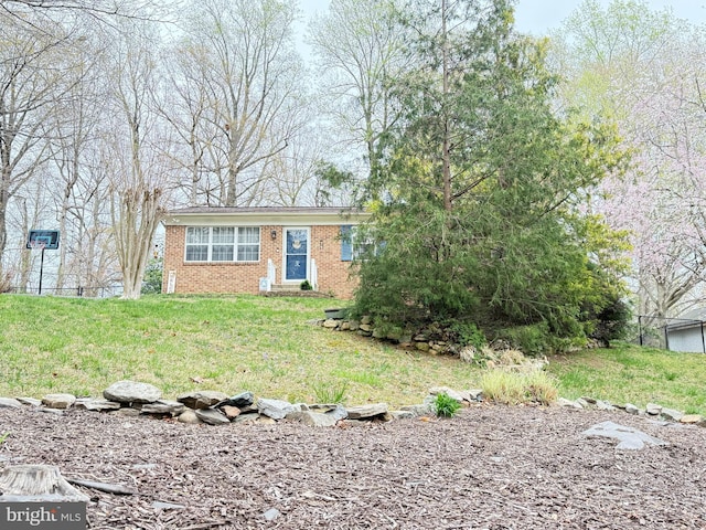 view of front of house with brick siding and a front lawn