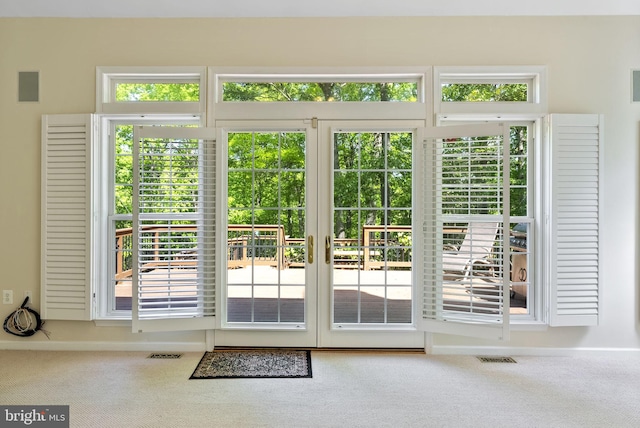 117 Graystone Farm Rd, White Hall, MD 21161 - doorway with carpet, plenty of natural light, and baseboards