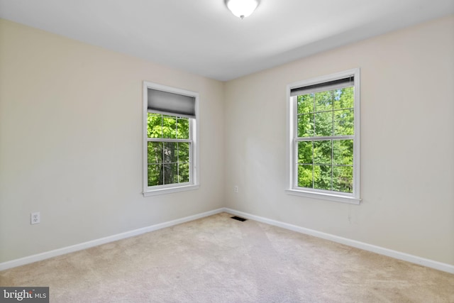 117 Graystone Farm Rd, White Hall, MD 21161 - empty room with healthy amount of natural light, baseboards, and carpet floors