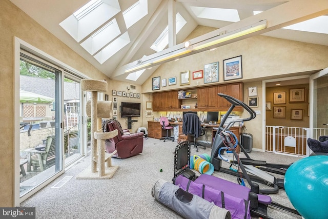 745 Germantown Pike, Lafayette Hill, PA 19444 - workout area featuring a skylight, high vaulted ceiling, and carpet