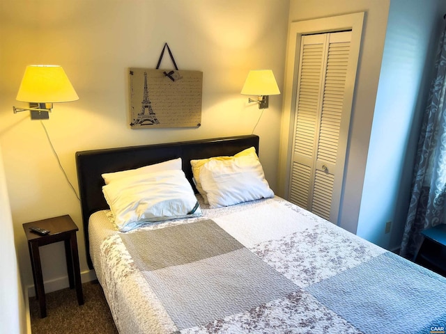 518 Meade Ave, Charlottesville, VA 22902 - bedroom featuring a closet and carpet floors