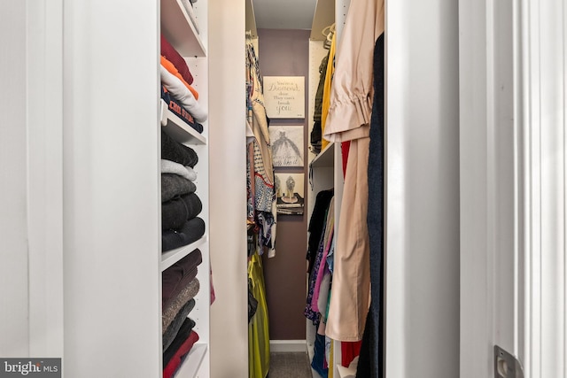view of spacious closet