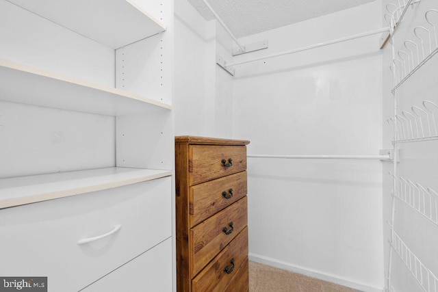 walk in closet featuring carpet
