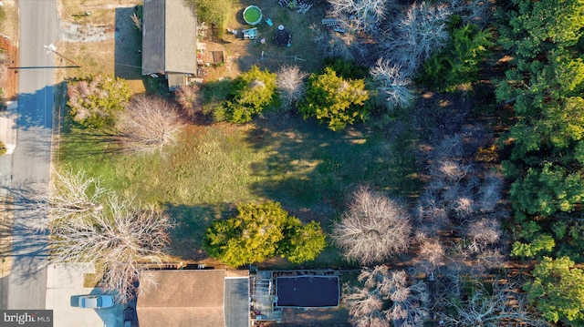 12524 Salisbury Rd, Ocean City, MD 21842 - bird's eye view