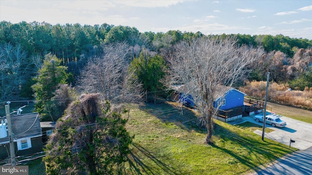 12524 Salisbury Rd, Ocean City, MD 21842 - birds eye view of property featuring a view of trees