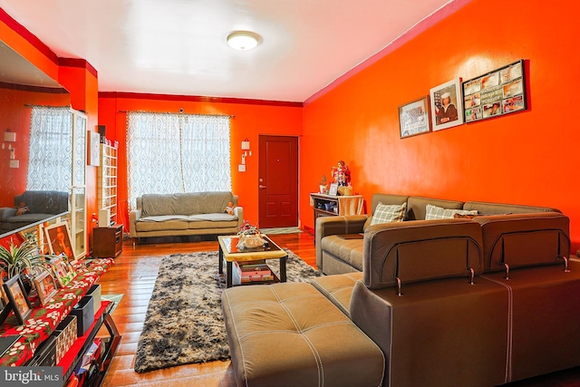 3903 N Marshall St, Philadelphia, PA 19140 - living room featuring wood finished floors