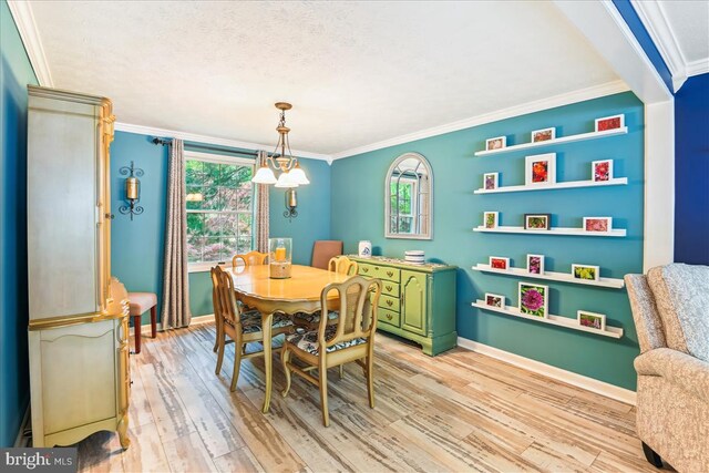 dining space featuring light wood-type flooring, ornamental molding, baseboards, and a healthy amount of sunlight