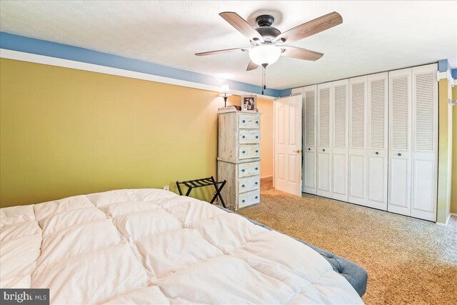 bedroom featuring ceiling fan, carpet, and a closet