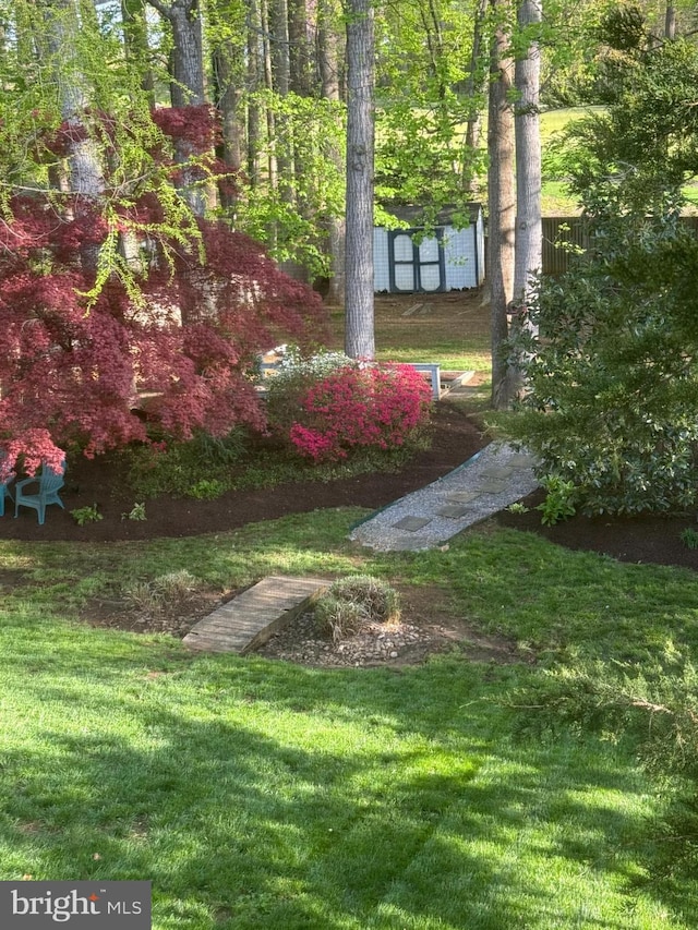 view of yard