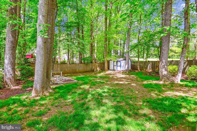view of yard featuring a storage shed, an outbuilding, and a fenced backyard