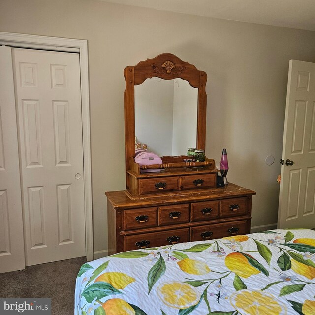 110 Harwich St, Browns Mills, NJ 08015 - bedroom featuring dark carpet and a closet