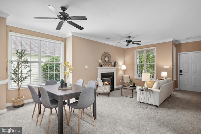 dining room with a ceiling fan, a glass covered fireplace, light carpet, baseboards, and crown molding