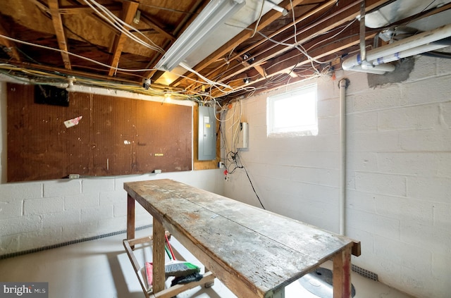 below grade area with electric panel and concrete block wall