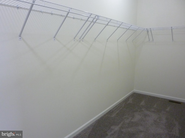 spacious closet featuring visible vents and carpet