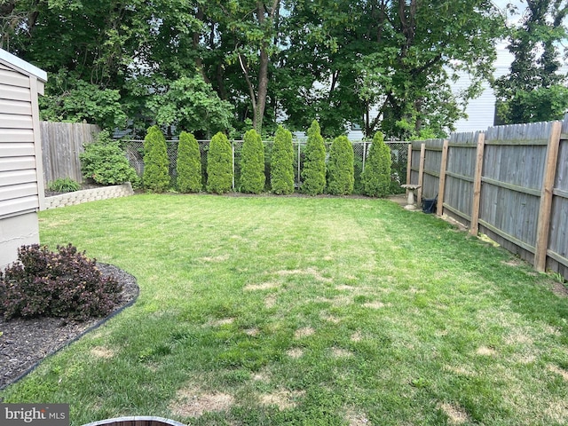 view of yard