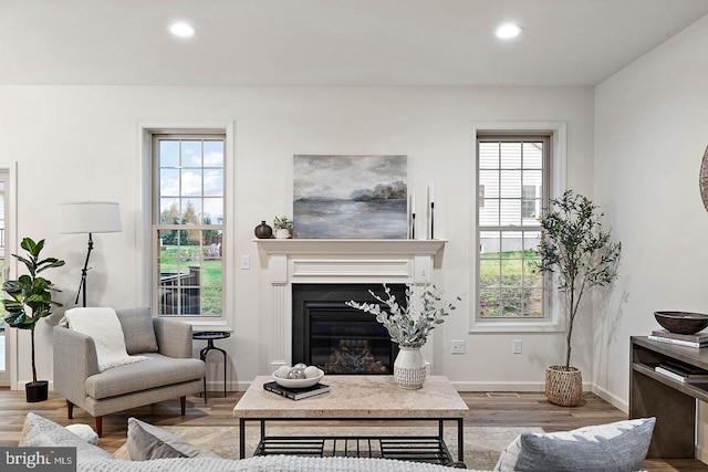 610 Greenbriar Path, Cochranville, PA 19330 - living area with wood finished floors, recessed lighting, healthy amount of natural light, and a glass covered fireplace