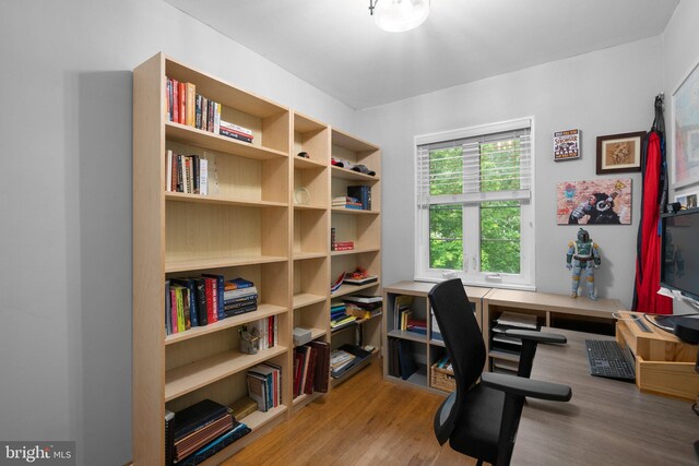 9830 Hollow Glen Pl Unit 2562, Silver Spring, MD 20910 - office featuring wood finished floors