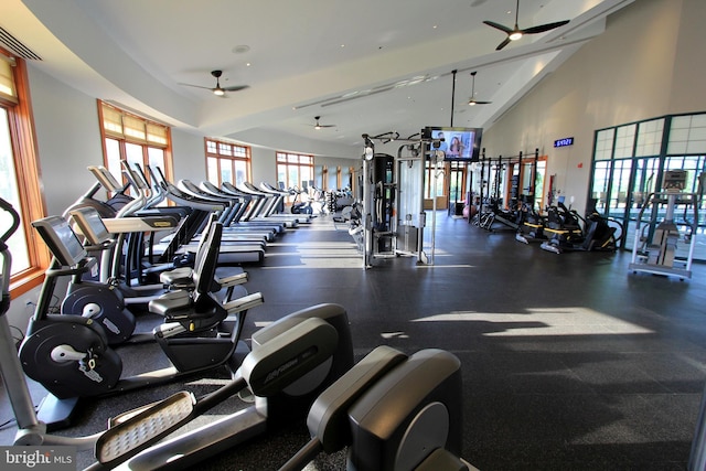 workout area featuring ceiling fan