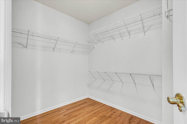 spacious closet featuring wood finished floors