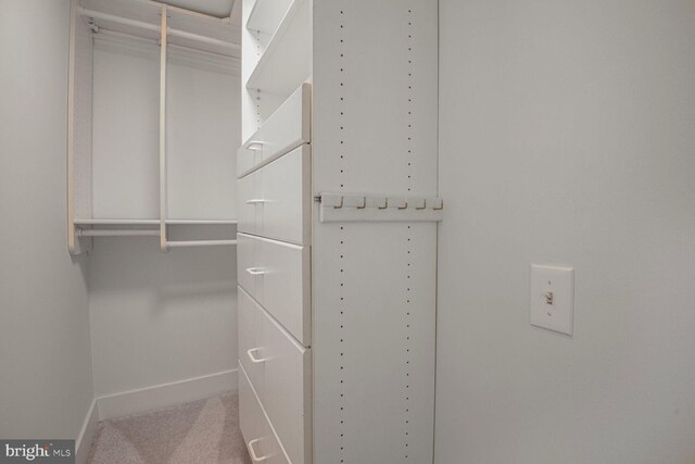 spacious closet with carpet flooring