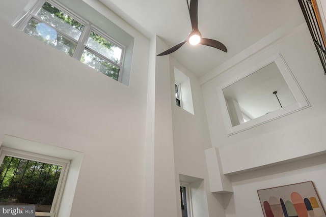 detailed view of ceiling fan