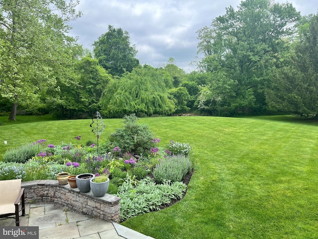 607 Newtown Rd, Berwyn, PA 19312 - view of yard